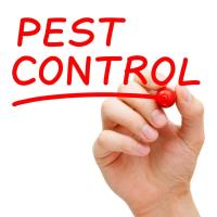 Mosquito Pest Control Perth image 8